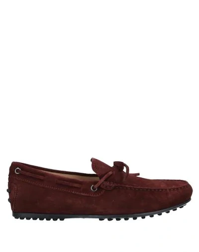 Tod's Loafers In Brown