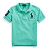 Polo Ralph Lauren Kids' Big Pony Cotton Mesh Polo In Key West Green