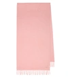 LORO PIANA GRANDE UNITA CASHMERE SCARF,P00475962