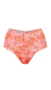 HANKY PANKY ORANGE CRUSH X CYNTHIA ROWLEY RETRO THONG