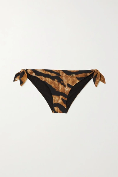 Dolce & Gabbana Tiger-print Bikini Briefs In Brown