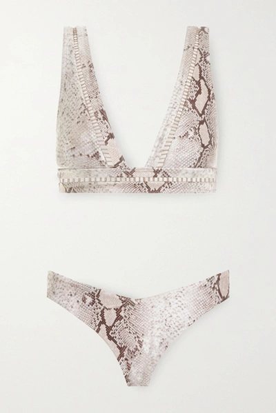 Zimmermann Bellitude Lattice-trimmed Snake-print Bikini In Snake Print