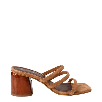 Alohas Indiana Suede Heeled Mules In Brown
