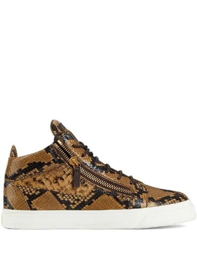 Giuseppe Zanotti Kriss Snakeskin-print Leather Sneakers In Brown