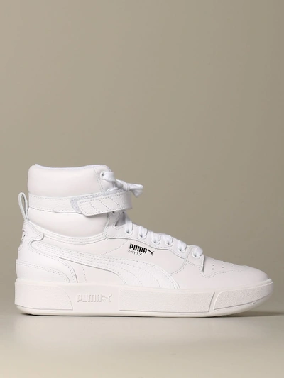 Puma In White