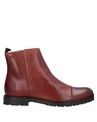 Royal Republiq Ankle Boots In Brown