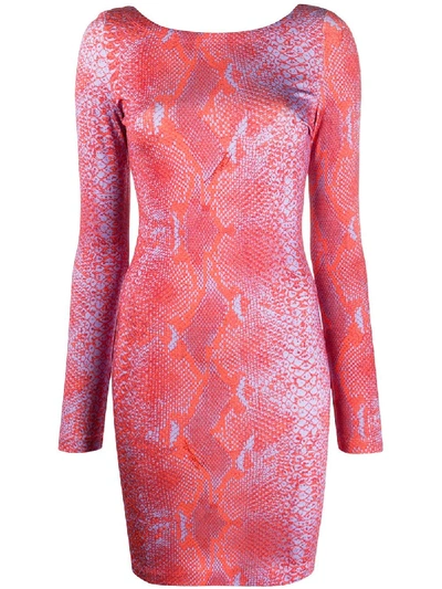 Just Cavalli Python-print Mini Dress In Pink