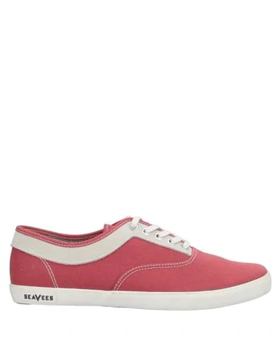 Seavees Sneakers In Brick Red