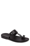 JERUSALEM SANDALS DAVID TOE-LOOP SANDAL,510