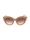 Pomellato 51mm Cat Eye Sunglasses In Brown