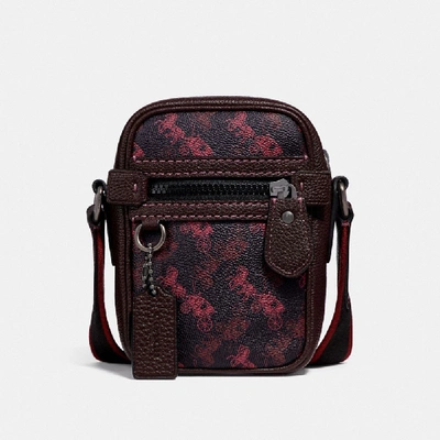 Coach Dylan 10 With Horse And Carriage Print In Burgundy