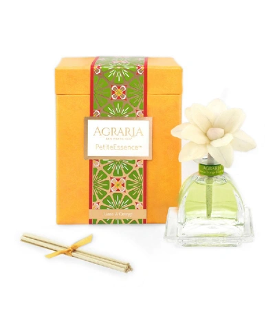 Agraria Lime And Orange Blossom Petite Essence Diffuser (500g)