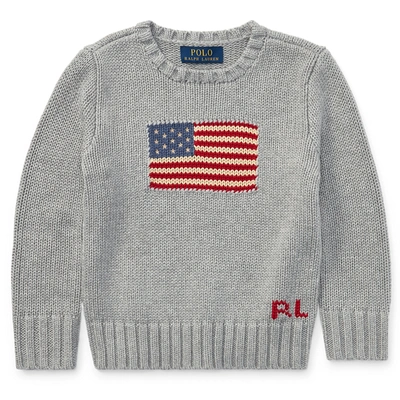 Polo Ralph Lauren Flag Cotton Crewneck Sweater In Grey Heather