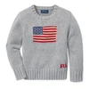Polo Ralph Lauren Kids' Flag Cotton Crewneck Sweater In Andover Heather