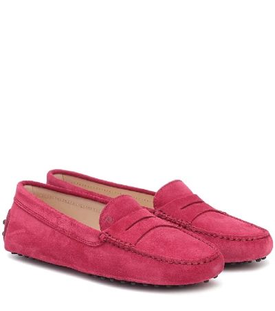 Tod's Gommino Suede Loafers In Magenta