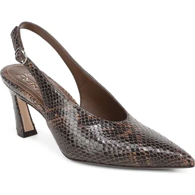 27 Edit Naturalizer Elaine Slingback Pointed Toe Pump In Brown