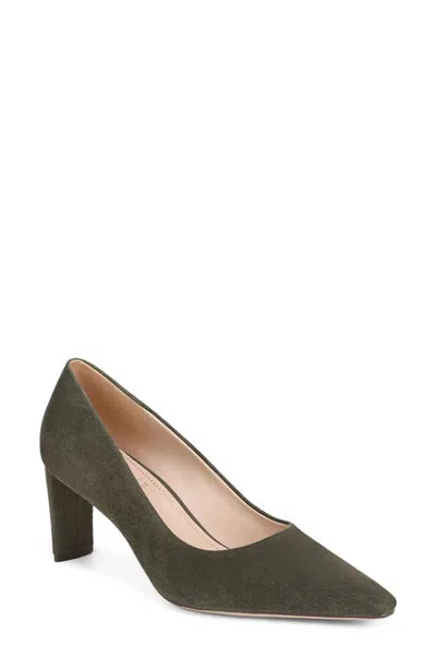 27 Edit Naturalizer Estee Pointed Toe Pump In Green
