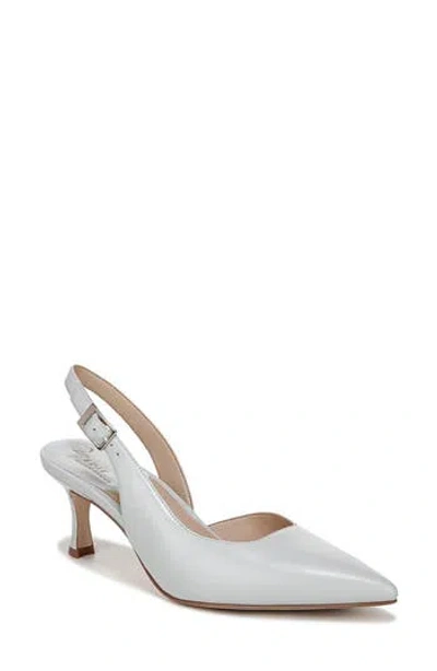 27 Edit Naturalizer Felicia Slingback Pointed Toe Pump
