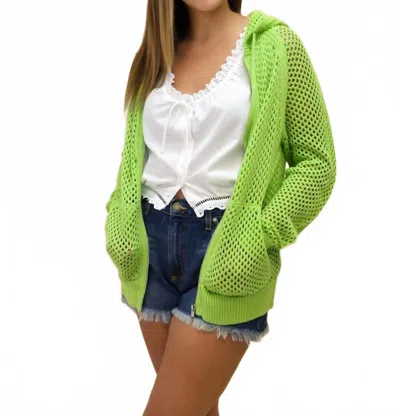 27 Miles Malibu Georgina Mesh Knit Sweater In Pear In Green