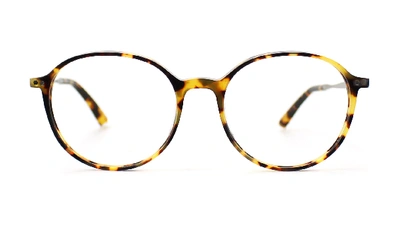 Taylor Morris Eyewear Sw1 C3