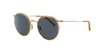 OLIVER PEOPLES OLIVER PEOPLES UNISEX SUNGLASS OV1269ST CASSON,827934439016