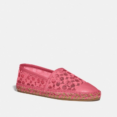 Coach Cleo Espadrille - Size 6.5 B In Colour<lsn_delimiter>orchid