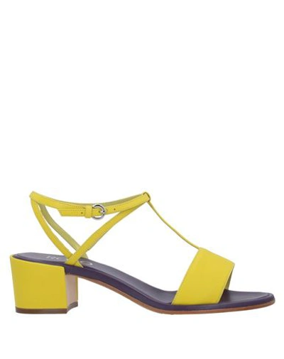 Rodo Sandals In Yellow