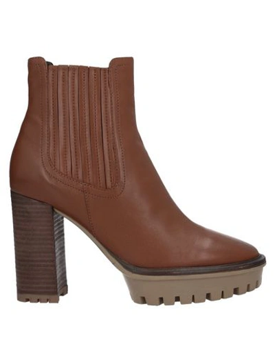 Bruno Premi Ankle Boots In Brown