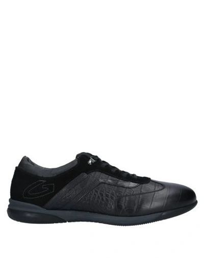 Alberto Guardiani Sneakers In Black