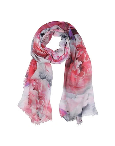 Lily And Lionel Scarves In Fuchsia