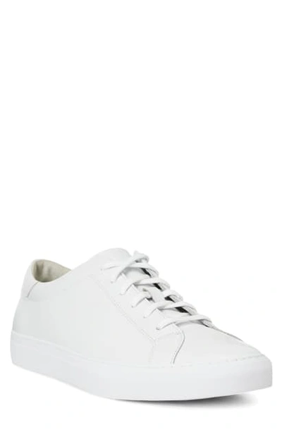 Polo Ralph Lauren Jermain Leather Sneaker In White