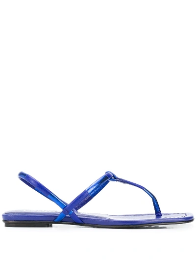 Pedro Garcia Kito Thong Flat Sandals In Blue