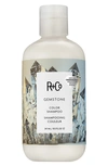 R + Co Gemstone Color Shampoo, Travel Size