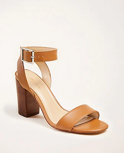 Ann Taylor Corey Leather Block Heel Sandals In Spiced Taupe