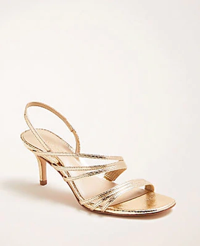 Ann Taylor Lyle Snake Print Triple Strap Leather Sandals In Gold