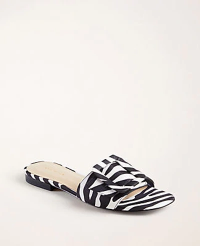 Ann Taylor Sutton Zebra Print Buckle Slide Sandals In Black Multi