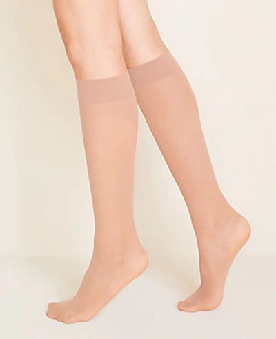 Ann Taylor Perfect Sheer Knee Highs In Natural