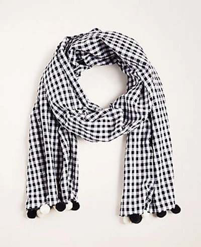 Ann Taylor Gingham Pom Pom Scarf In Black