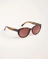 Ann Taylor Cateye Sunglasses In Tortoise Brown