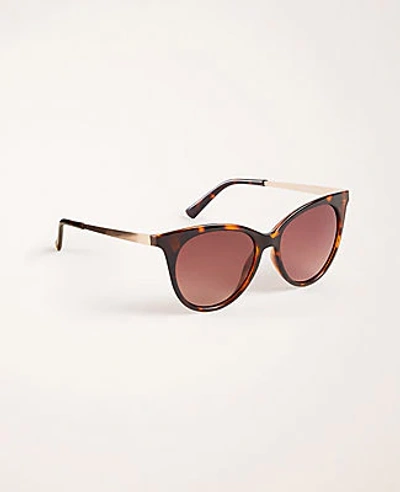 Ann Taylor Cateye Sunglasses In Tortoise Brown