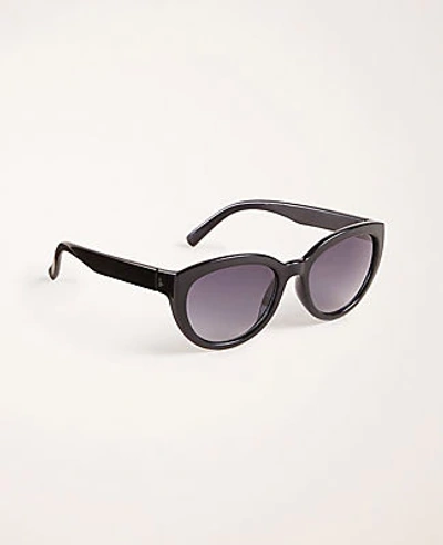 Ann Taylor Cateye Sunglasses In Black