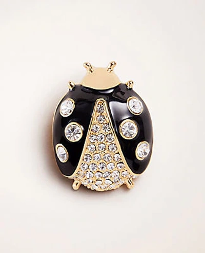 Ann Taylor Ladybug Brooch In Gold