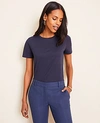 Ann Taylor Pima Cotton Tee In Night Sky