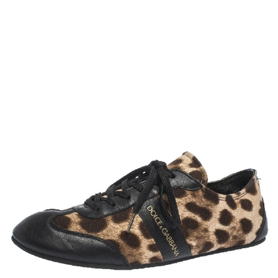 Pre-owned Dolce & Gabbana Brown Leopard Print Canvas And Black Leather Lace Up Sneakers Size 38