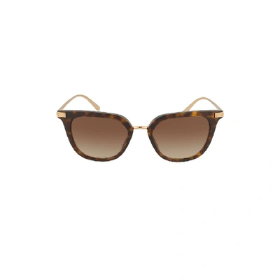Dolce & Gabbana Sunglasses 4363 Sole In Brown