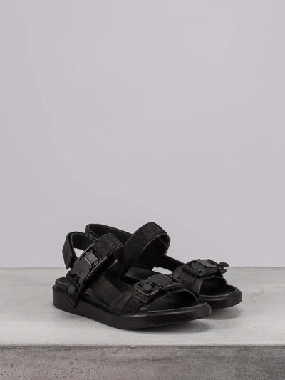 The Last Conspiracy Ecco Silva Sandal Black