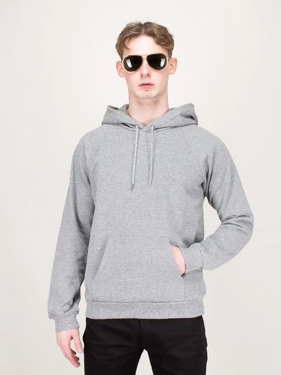gray celine hoodie