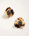 ANN TAYLOR TORTOISESHELL PRINT FLOWER STUD EARRINGS,533432