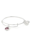 Alex And Ani Color Code Adjustable Wire Bangle In June - Light Amethyst/ Silver