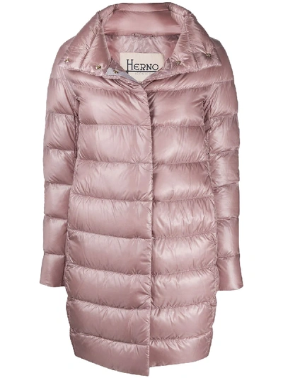 Herno Padded High-neck Coat In Pink